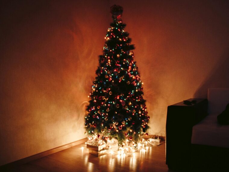 Ceny choinek 2025 - choinka żywa cena i sztuczna cena - ile kosztuje kupno lub wynajem choinki na święta?